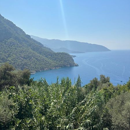 Kabak Armes Hotel Фаралья Екстер'єр фото